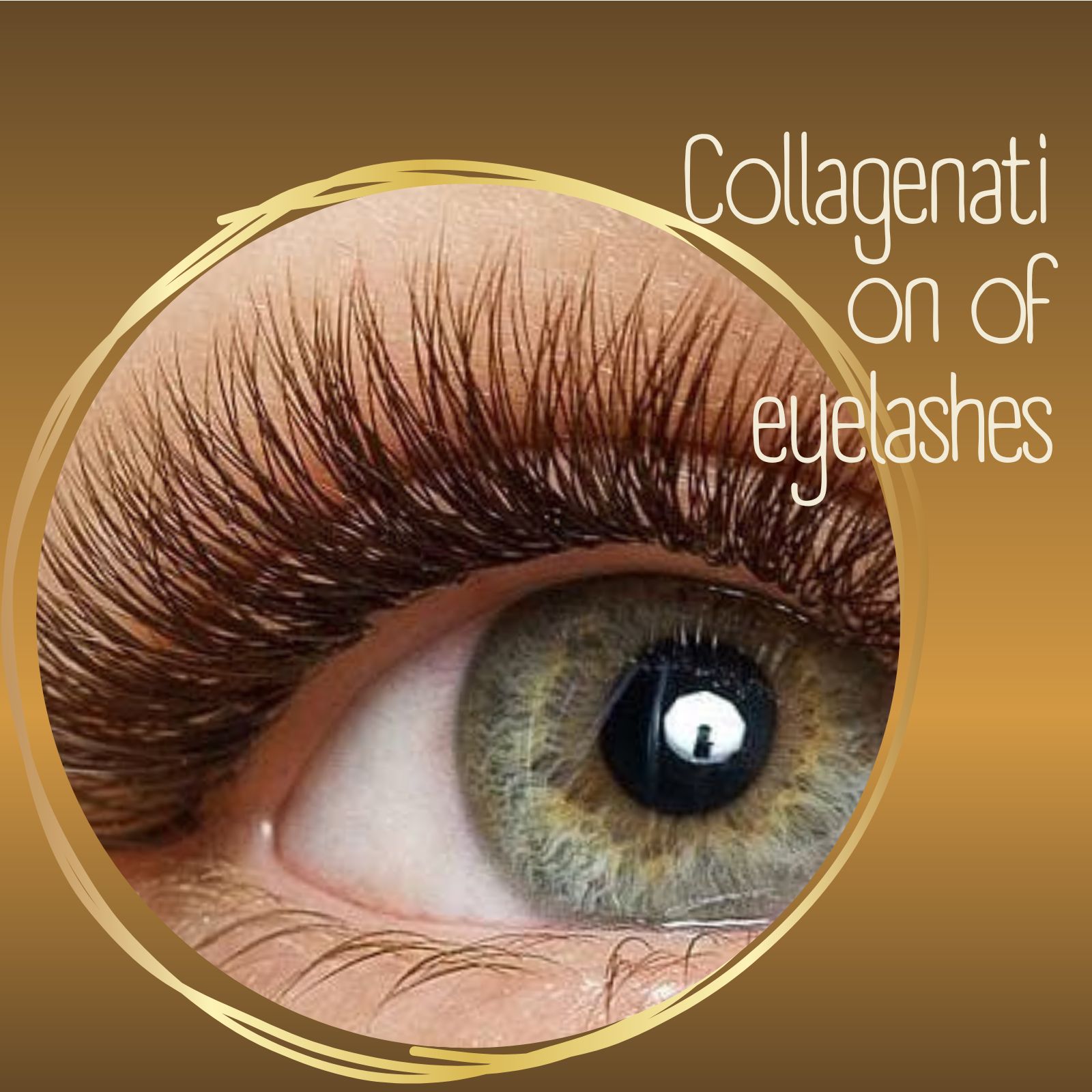 Collagenation of eyelashes